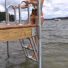 A person in a swimsuit climbs a 1.5" Sch. 40 Galvanized Pipe ladder onto a wood dock above a lake, with trees and boats in the background.