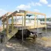 A dock built with 1.5" Sch. 40 Galvanized Pipe extends from the sandy shore into clear lake water, classic Maine Docks style by Great Northern Docks.