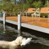 A golden retriever swims in a lake near classic Maine Docks featuring the Guardian Bumper with Pipe Bracket, surrounded by trees.