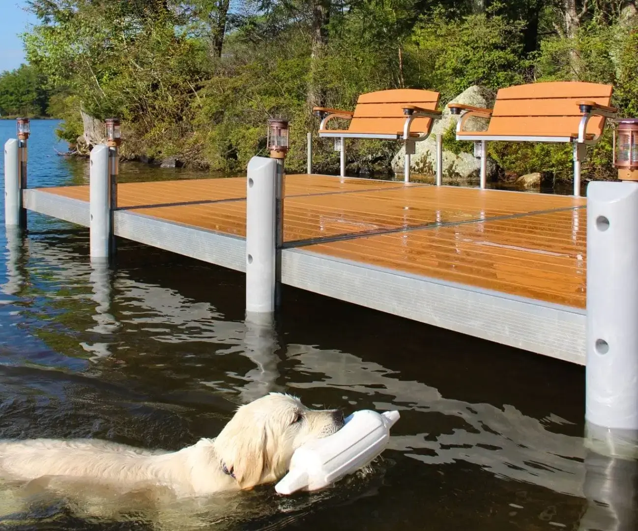 A golden retriever swims in a lake near classic Maine Docks featuring the Guardian Bumper with Pipe Bracket, surrounded by trees.