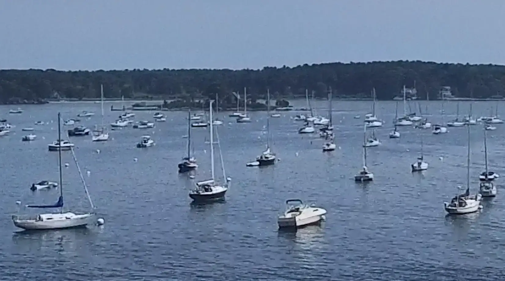 Many sailboats and small motorboats are secured to Mooring Balls on a calm bay near Maine docks, with a distant tree-lined shore under a hazy sky.