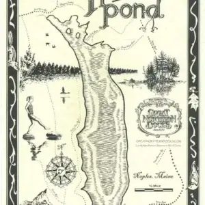 Trickey Pond: Hand-drawn map of Naples, Maine’s Trickey Pond with wildlife, trees, Maine Docks, paddleboarder, and decorative lettering.