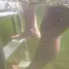 A person’s legs and feet descend a metal Aluminum Dock Ladder into greenish water, seen from an underwater perspective.