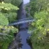 An Arched Footbridge spans a narrow, rocky stream amid dense green trees, seen from above on a sunny day near classic Maine Docks.