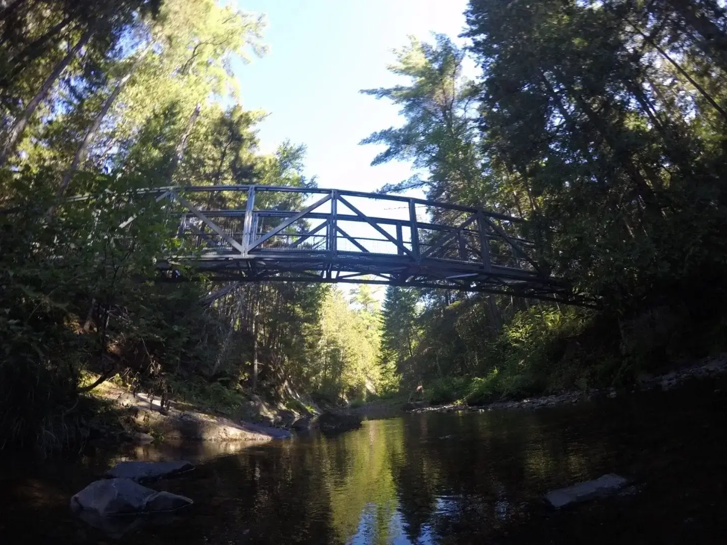 An Arched Footbridge crosses a shallow creek, framed by tall green trees and a clear blue sky—evoking the tranquil scenery near Great Northern Docks.