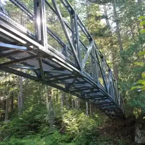 An Arched Footbridge with truss supports, like those by Great Northern Docks, spans a green forest dappled with sunlight.