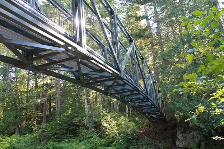 An Arched Footbridge with truss supports, like those by Great Northern Docks, spans a green forest dappled with sunlight.