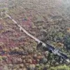 Aerial view of a wooden boardwalk winding through a colorful, forested landscape, featuring Maine Docks and vibrant patches of green, red, and purple vegetation.