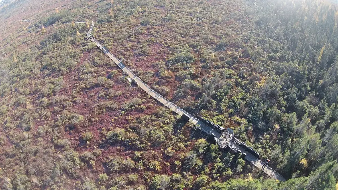 Aerial view of a wooden boardwalk winding through a colorful, forested landscape, featuring Maine Docks and vibrant patches of green, red, and purple vegetation.