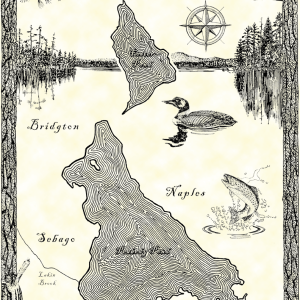 Peabody Pond & Foster Pond