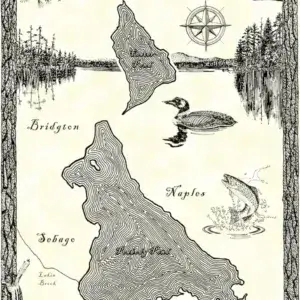 Peabody Pond & Foster Pond hand-drawn map in Maine with contour lines, compass rose, wildlife, towns, and wood dock locations by Great Northern Docks.