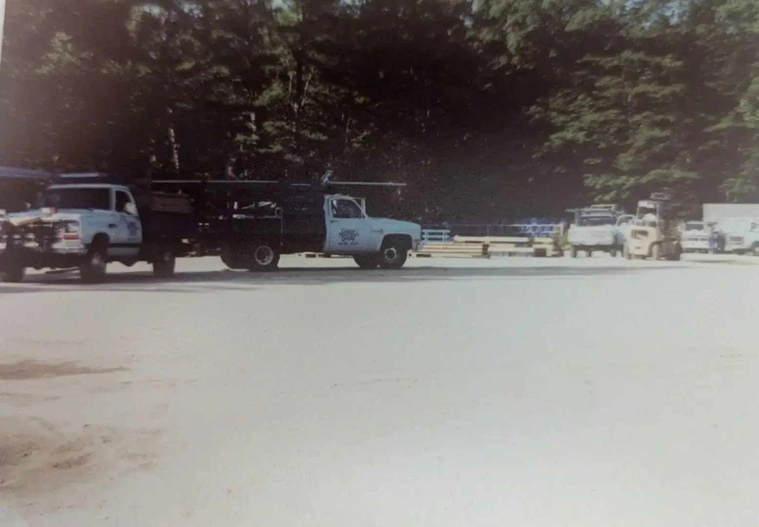 Three trucks are parked on a paved area near a forested background with trees and sunlight filtering through.